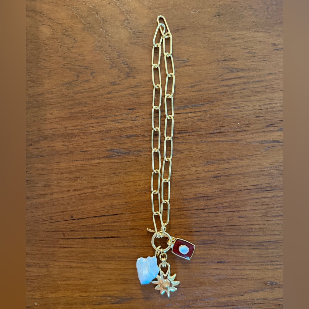 Lizzie Fortunato Charm Necklace